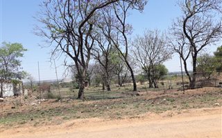 8.5 ha Land available in Grootvlei