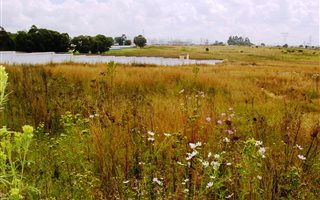 8.5 ha Farm in Blue Hills