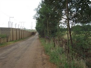 21 ha Farm in Grootfontein Estate