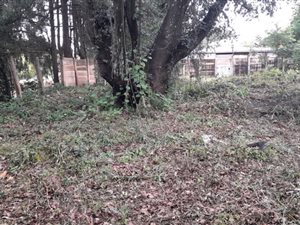 745 m² Land available in Fouriesburg