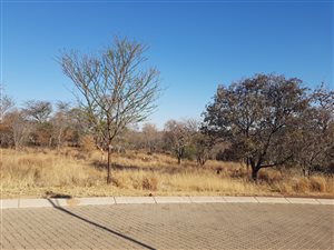 2374 m² Land available in Modimolle