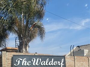 1 Bed Apartment in Ravenswood