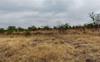 1960 m² Land available in Swartruggens