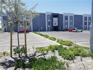 2 Bedroom Apartment in Glenhaven