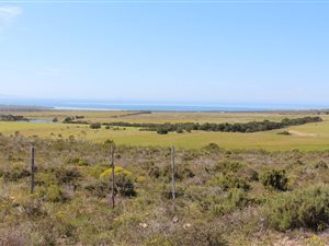 174 ha Farm in Kabeljous