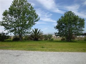 1187 m² Land available in Blanco