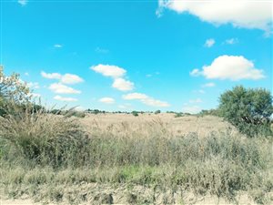 214130 m² Commercial space in Knopjeslaagte