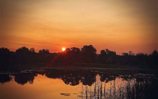 25 ha Farm in Onderstepoort