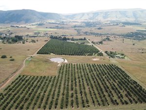 128.5 ha Farm in Badplaas