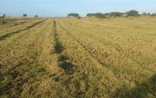 8102 m² Land available in Hluhluwe