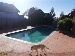 3 Bed House in Witpoortjie