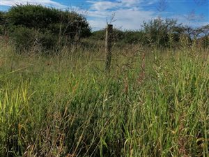 8 ha Land available in Polokwane Central