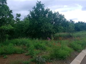 1300 m² Land available in The Ridge Estate