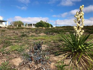 714 m² Land available in Darling