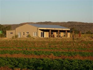 21 ha Smallholding in Vioolsdrift