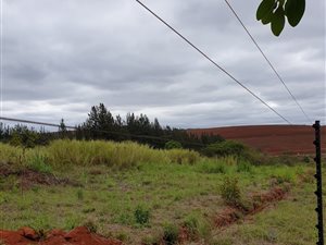 1 ha Land available in White River AH