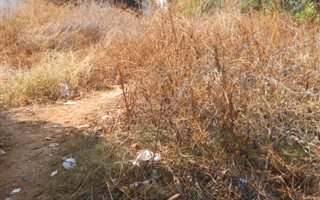 1200 m² Land available in Arcadia