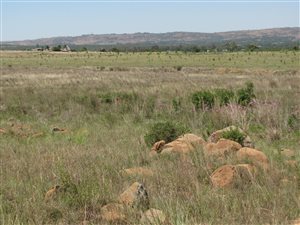 4.3 ha Land available in Mooiplaats AH