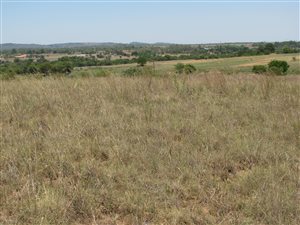 4 ha Land available in Mooiplaats AH