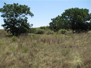 4 ha Land available in Mooiplaats AH