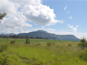 3.9 ha Land available in Fouriesburg
