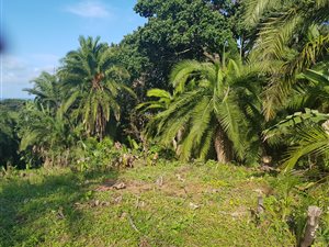 1369 m² Land available in Hibberdene