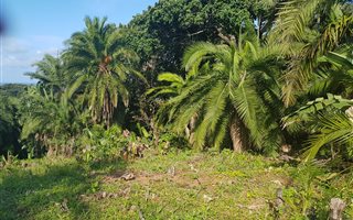 1369 m² Land available in Hibberdene