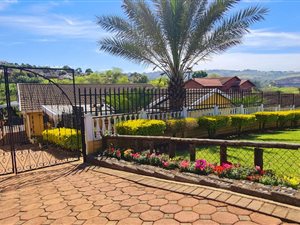 3 Bed House in Allandale