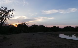 1 ha Land available in Moditlo Nature Reserve