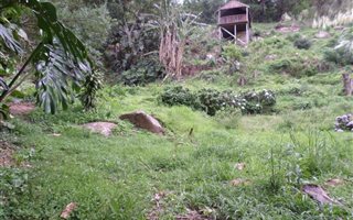 1846 m² Land available in Cowies Hill Park