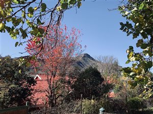 1181 m² Land available in Clarens