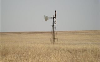 1106 ha Farm in Lindley