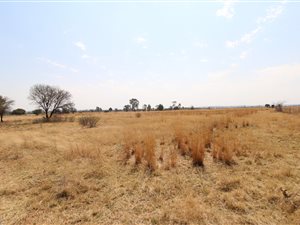 8.6 ha Farm in Wilgeboom AH