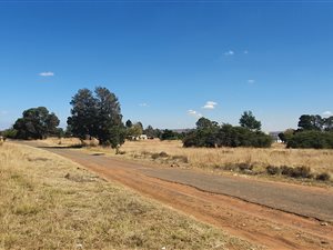 4.1 ha Land available in Lenasia
