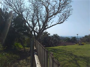 1784 m² Land available in Ramsgate