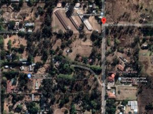3.5 ha Land available in Linbro Park