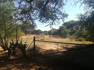 26 ha Farm in Lephalale (Ellisras)