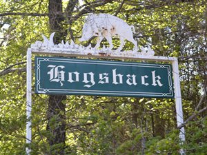 2.2 ha Land available in Hogsback