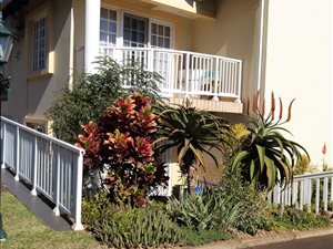 1 Bed Apartment in Somerset Park