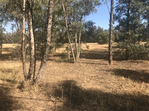 2 ha Farm in Walkers Fruit Farms