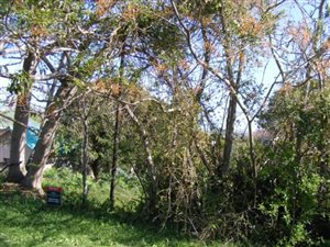 759 m² Land available in East Bank