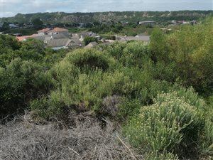 782 m² Land available in Sedgefield