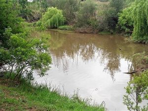 1.3 ha Land available in Rietfontein
