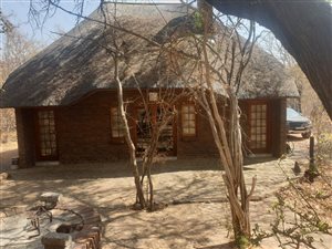 Game Farm in Vaalwater