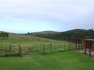 30 m² Farm in Uitenhage Rural