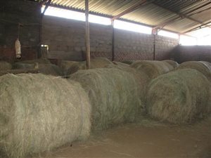 10 ha Farm in Boschkop