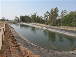23 ha Farm in Buffelspoort