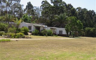 11 ha Farm in Wittedrift
