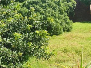 593 m² Land available in Glentana