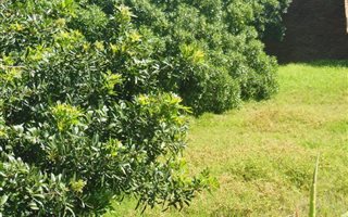 593 m² Land available in Glentana